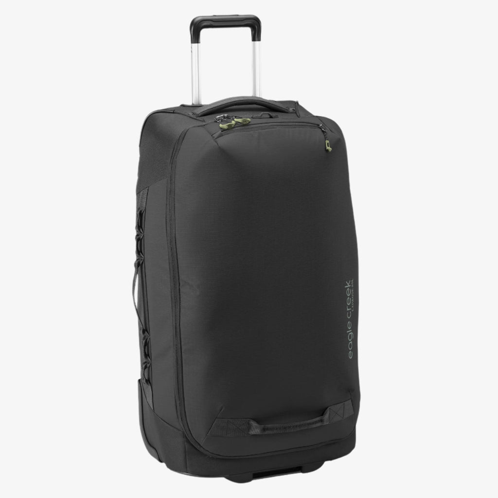 Expanse 2-Wheel 29" Convertible Luggage