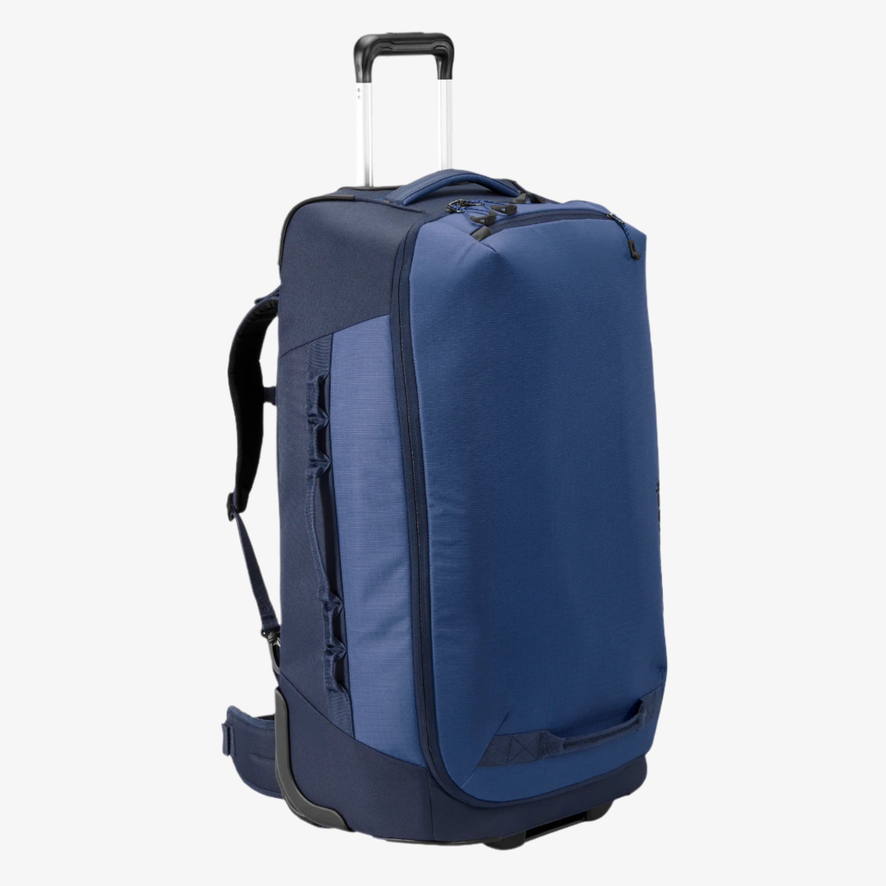 Expanse 2-Wheel 29" Convertible Luggage