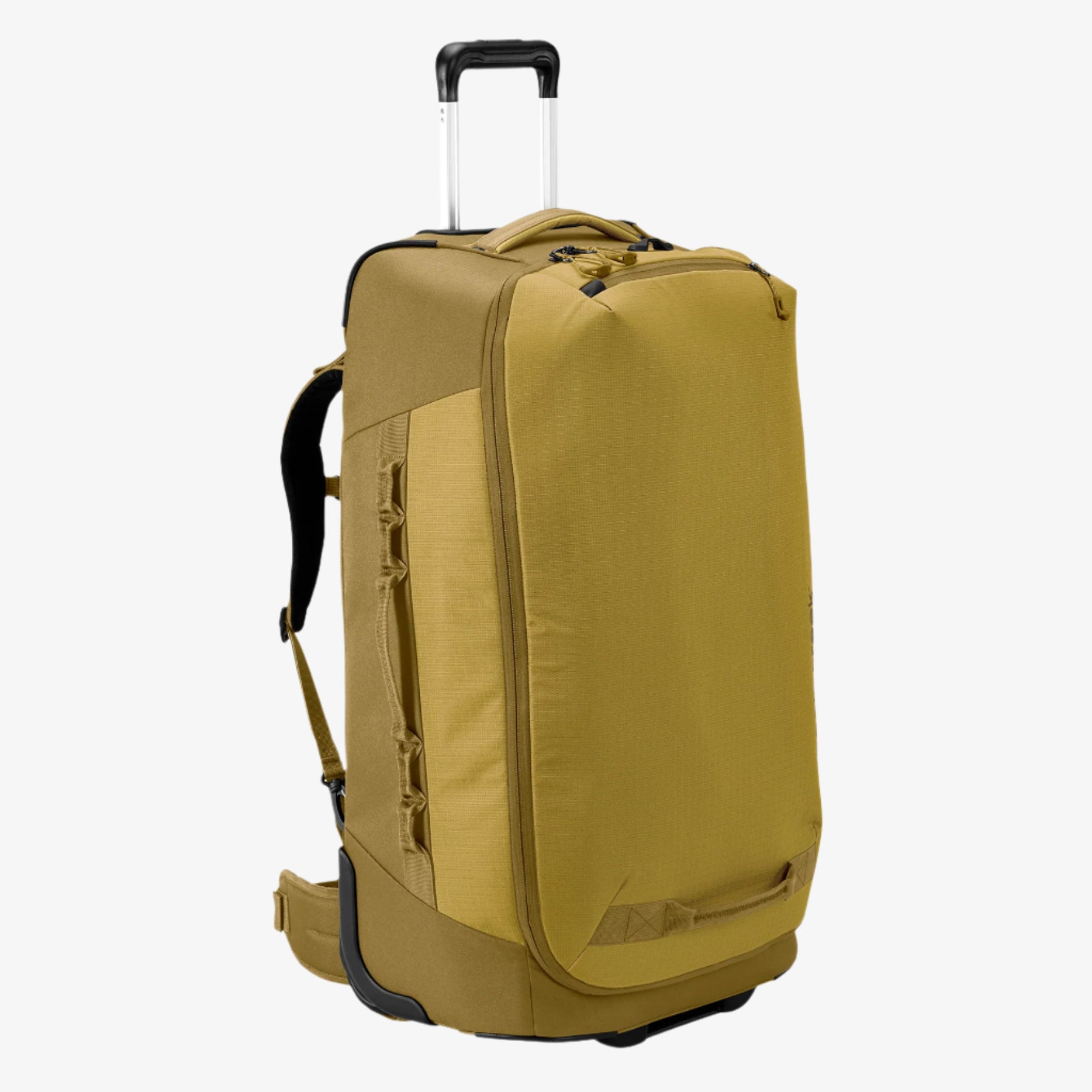 Expanse 2-Wheel 29" Convertible Luggage