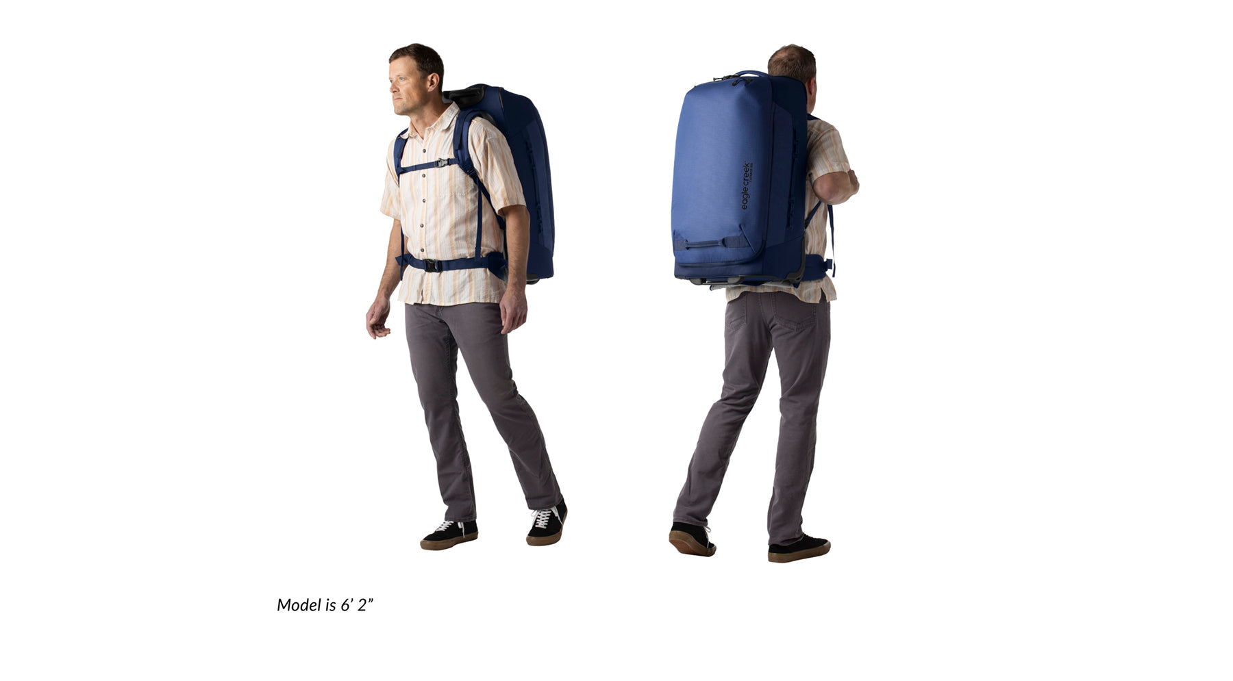 Expanse 2-Wheel 29" Convertible Luggage