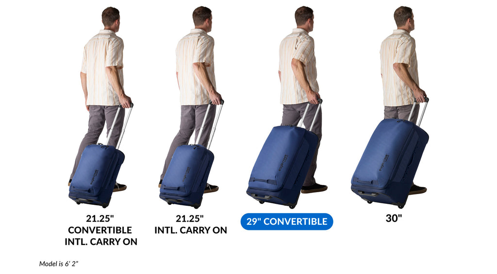 Expanse 2-Wheel 29" Convertible Luggage